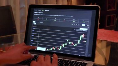 Woman going through LTC 180 days Candle Stick Charts on a Laptop