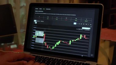 Woman going through Stellar 24 hours Candle Stick Charts on a Laptop