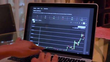 Woman going through XLM 1 Year Candle Stick Charts on a Laptop