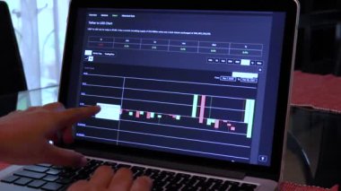 Woman going through USDT 180 days Candle Stick Charts on a Laptop