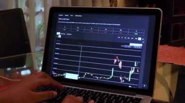 Woman going through XRP 1 Year Candle Stick Charts on a Laptop