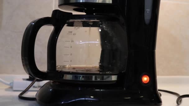 Filtru Cafea Prepararea Cafelei Proaspete — Videoclip de stoc