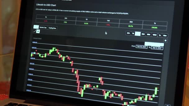 Ltc Days Candle Stick Charts Laptop — Stok video