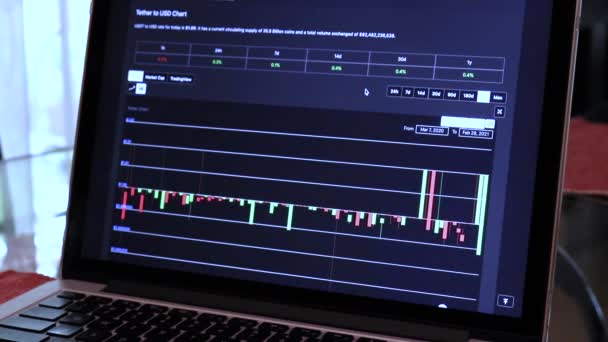 Tether Year Candle Stick Charts Laptop — Stockvideo