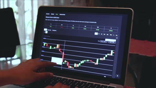 Woman Going Binance Coin Day Candle Stick Charts Laptop — Stok Video