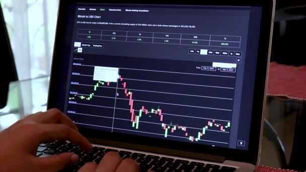 Woman Going Btc Days Candle Stick Charts Laptop — Wideo stockowe