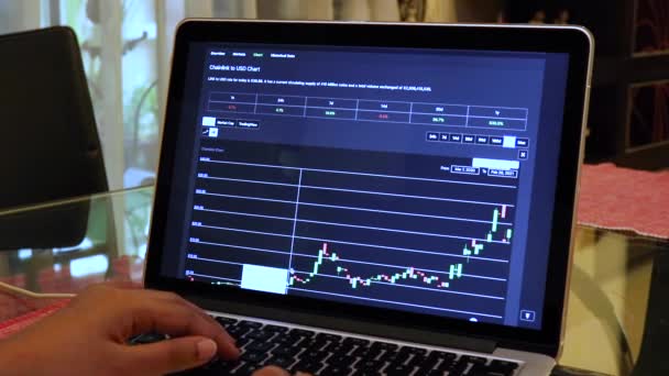 Woman Going Chainlink Year Candle Stick Charts Laptop — 비디오