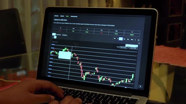 Woman Going Ltc Days Candle Stick Charts Laptop — Stok video