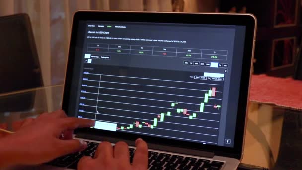Woman Going Ltc 180 Days Candle Stick Charts Laptop — Stockvideo