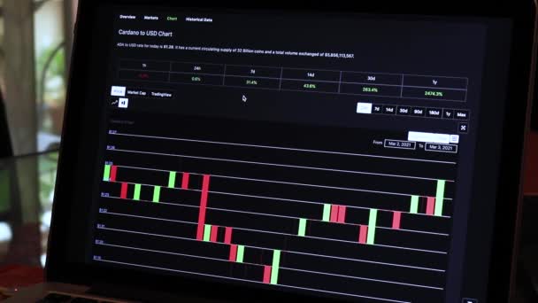 Ada Hours Candle Stick Charts Laptop — стокове відео