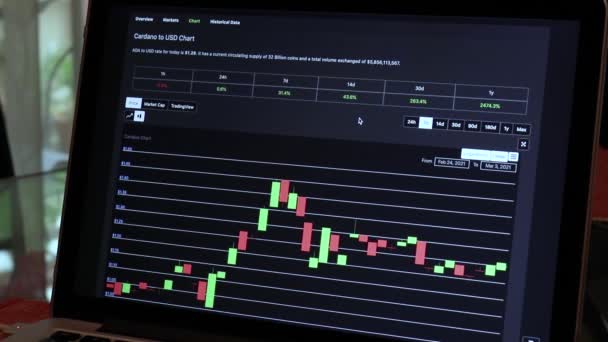 Ada Days Candle Stick Charts Laptop — стоковое видео