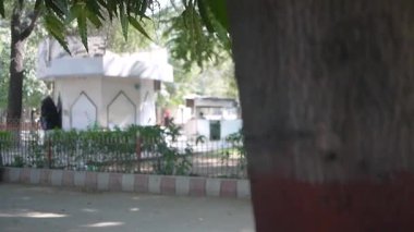 Karachi hayvanat bahçesinde beyaz bir cami.