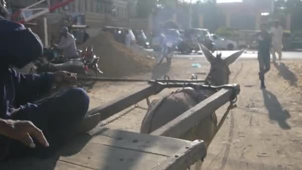 Donkey Cart Moving Away Empress Market — Stock Video