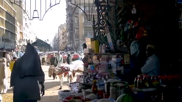 Front Entrance Empress Market Donkey Cart — Stock Video