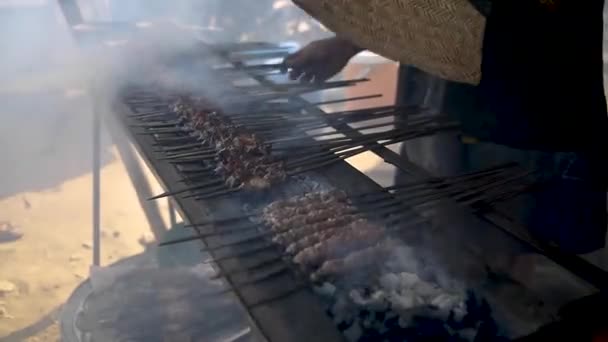 Bbq Cooking Afghan Kababs — Stockvideo