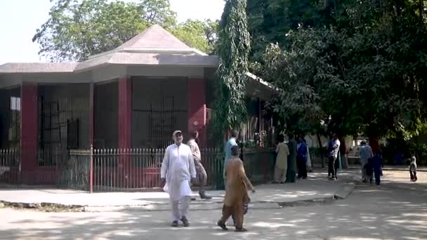 Άνθρωποι Που Περπατούν Και Απολαμβάνουν Ζωολογικό Κήπο Karachi — Αρχείο Βίντεο