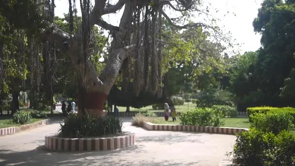 Menschen Spazieren Und Genießen Den Zoo Karachi Zoo — Stockvideo