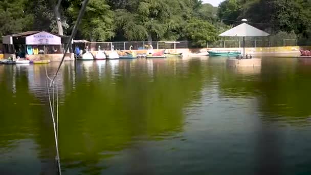 Karachi Hayvanat Bahçesinde Tekneli Göl — Stok video