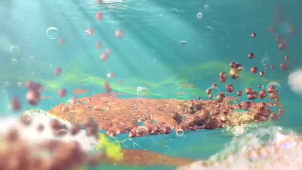 Animasi Kuman Dalam Air Dengan Gelembung — Stok Video