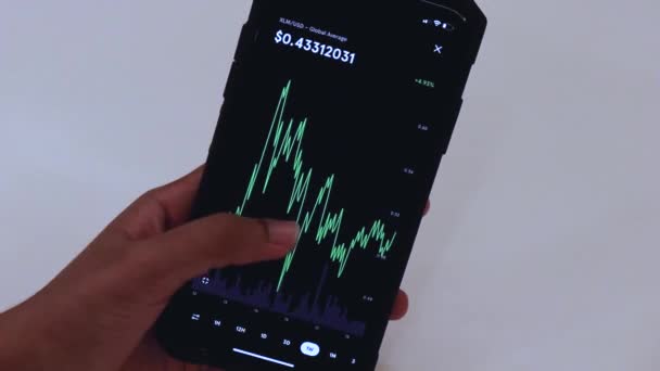 Woman Looking Xlm Charts Cellphone — Stok video