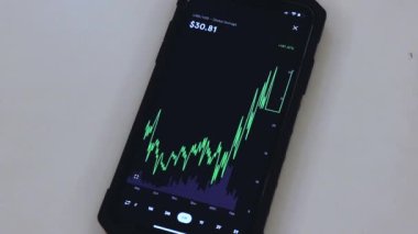 Link 6 Months chart on a black phone placed on a table