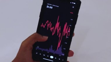 Woman looking through USDT 3 Days chart on Black smartphone
