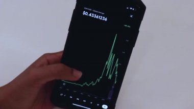 Woman looking through XLM 3 years chart on Black smartphone