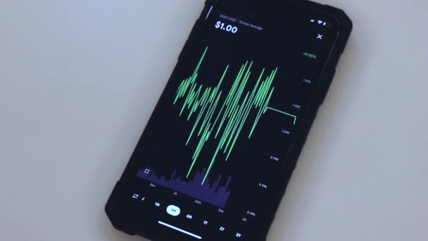 Usdt Months Chart Black Phone Placed Table — Stok Video