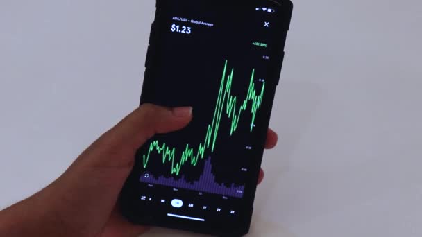 Woman Looking Ada Months Chart Black Smartphone — Stockvideo