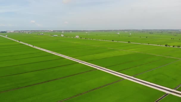 関知県の農園の空中風景 — ストック動画