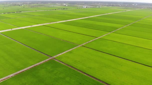 関知県の農園の空中風景 — ストック動画