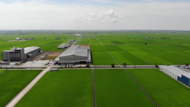 マレーシアのセキちゃんの農場の空中ビュー — ストック動画