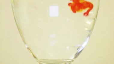 Color Dyes Being Added Into Wine Glass - Yellow And Pink