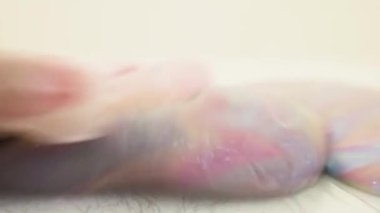 Birçok Renkle Karıştırılmış Sümük