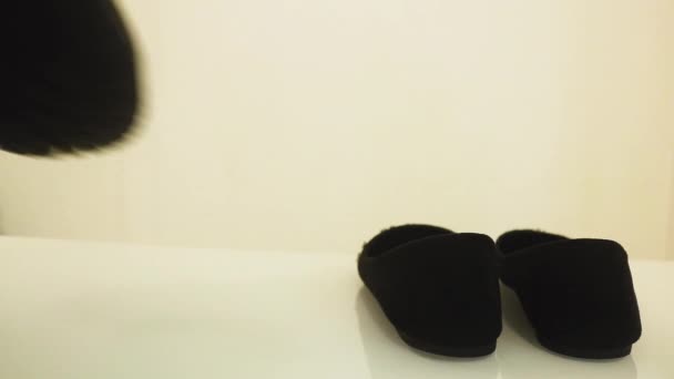 Zapatos Planos Que Toman Lugar Botas Negras — Vídeos de Stock