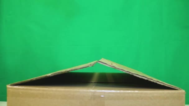 Box Being Taped Green Screen — Stock Video