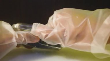 Meyve Paketinden Çıkarılıyor - Yabanmersini