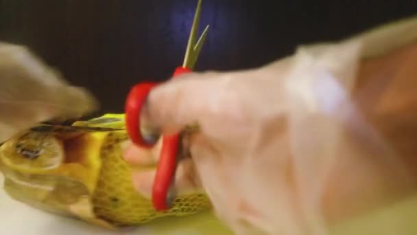 Fruto Sendo Removido Seu Pacote Limão — Vídeo de Stock