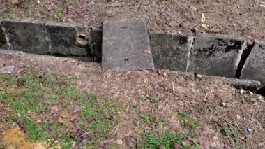 Çimenlik ve çimento Bölgesi Birinin Üzerinde Yürüyor