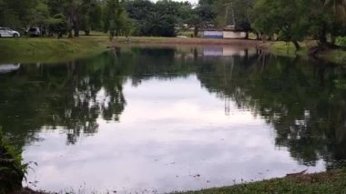 Lake Area With A Train Passing At The Top