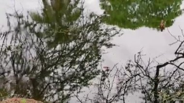 Lake With Moving Water Top And Reflection