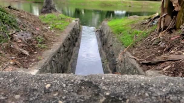 Lago Che Scorre Con Riflesso Del Cielo Formiche Incontro — Video Stock