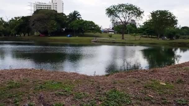 Lake Surface Park Being Blown Wind — Vídeo de Stock