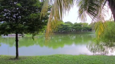 Park Area With A Lake In The Middle And Many Trees