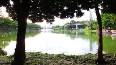 Park Lake And Two Tree Trunks On Each Side
