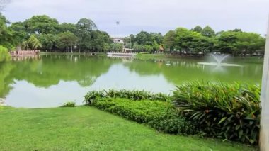  Park Lake Full Of Greenery And Trees