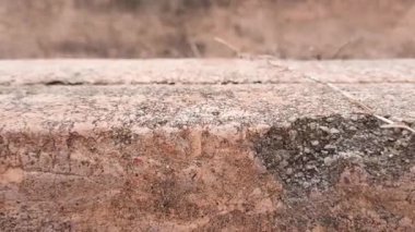 Birçok çatlağı olan eski beton bloklardan yapılmış merdiven.