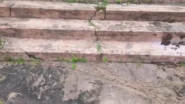 Birçok çatlağı olan eski beton bloklardan yapılmış merdiven.