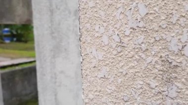 Park Bölgesindeki Solmuş Taş Duvar