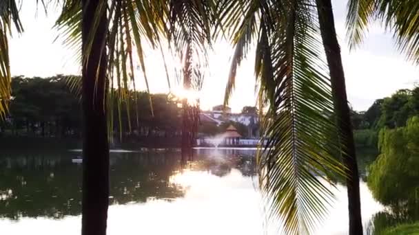 Palm Trees View Lake Sunset Hour — Video Stock